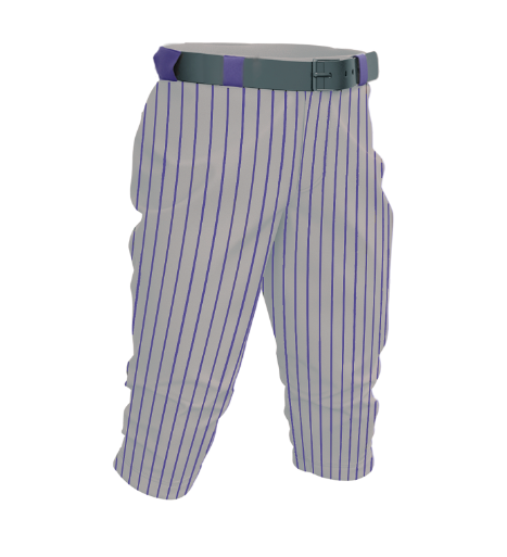 SLAMMERS- GREY PURPLE PINSTRIPE  KNICKERS