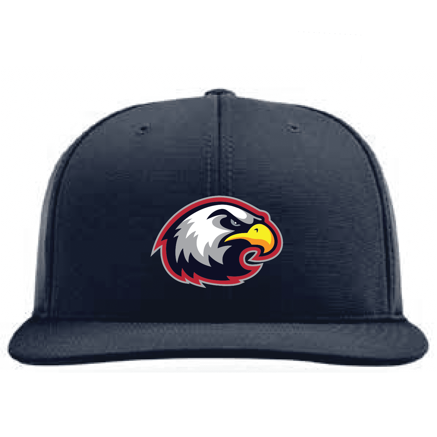 Penfield Patriots PTS20 Hat - Eagle